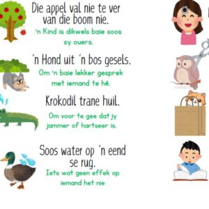 Afrikaans: Idiome en betekenisse