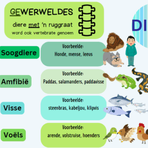 Gr. 5 Diereklasse Opsomming