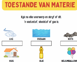 GRATIS - TOESTANDE VAN MATERIE WERKKAART (NWT)